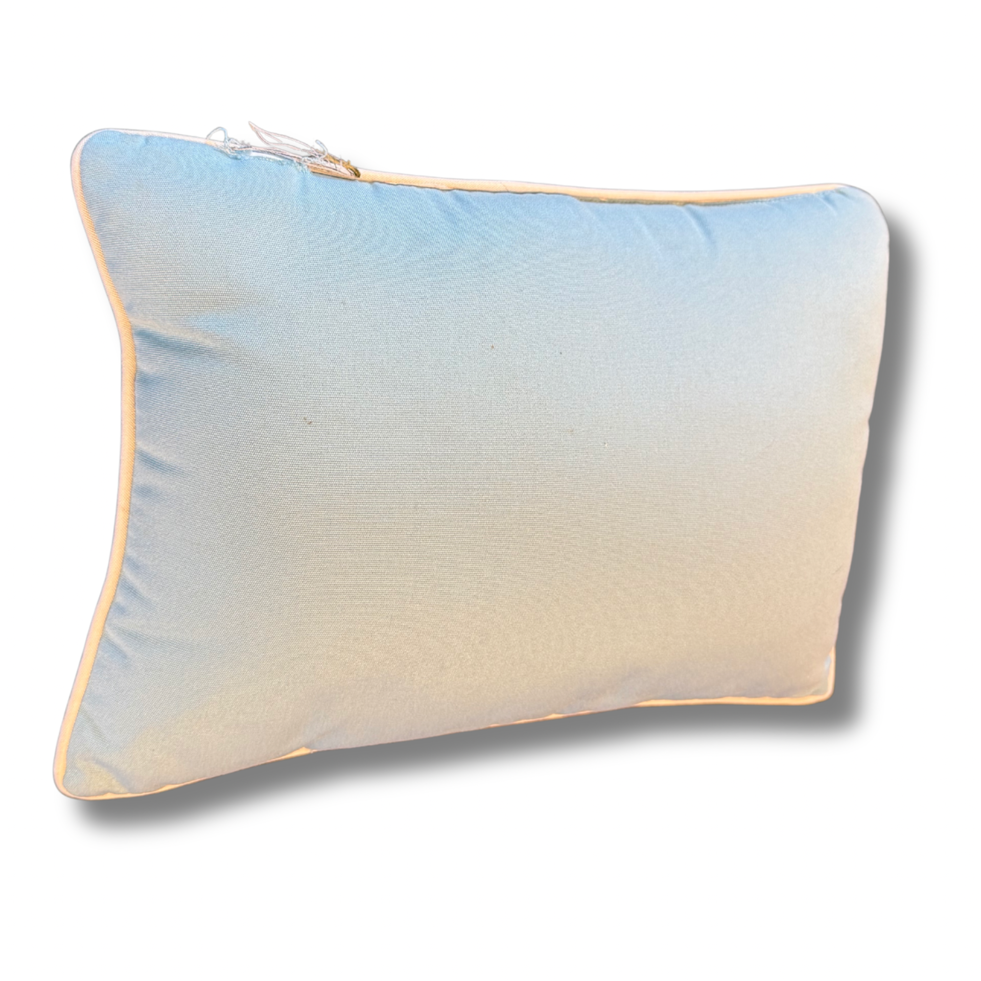 Vintage Coastal Shell Accent Pillow – Light Blue & Ivory